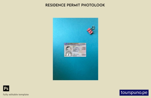 Plantilla frontal de aspecto fotográfico de tarjeta de residencia de Noruega lis